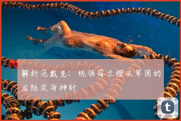 解析范戴克：统领荷兰橙衣军团的后防定海神针